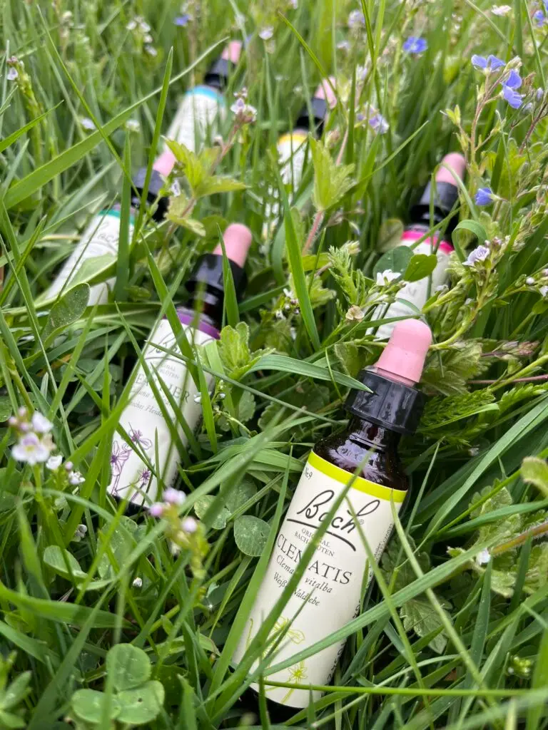 Bachovy květové esence, terapie, emoce, rovnováha